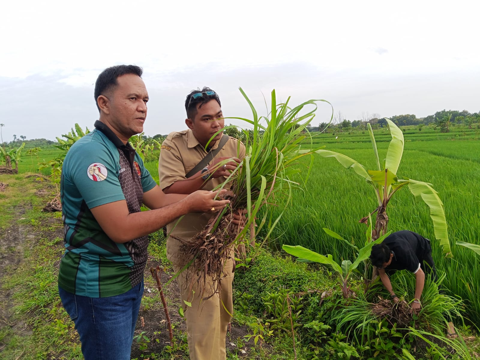 Kunjungan Bakorpus FKBN RI ke Lamongan dalam rangka survey Program Ketahanan Pangan Terapan Organik Bela Negara di desa Sumurgenuk Babat Kabupaten Lamongan. Selasa, 13 Januari 2026.
