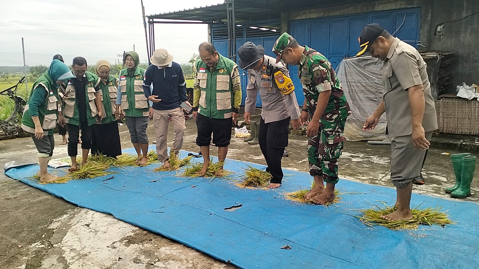 Foto : Dokumentasi Panen Raya Padi di Desa Munungrejo